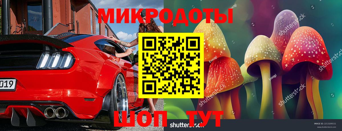Хасавюрт  Псилоцибиновые грибы мухоморы  Вход с VPN  Псилоцибиновые грибы Cubensis 
